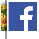 Facebook Album Downloader Logo
