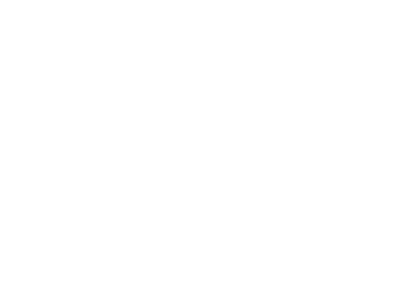 Aviation Virtual Logo